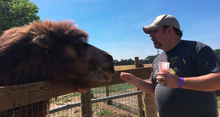 Animal Feeding